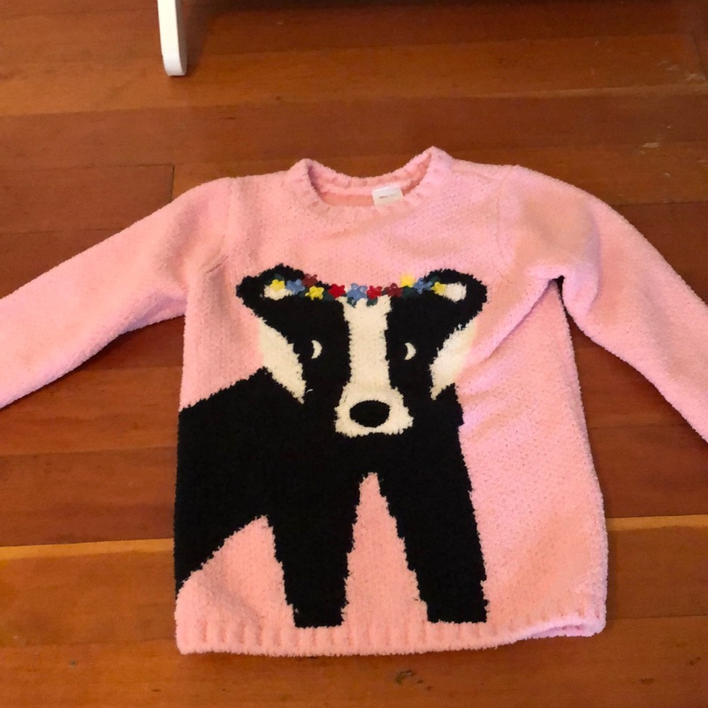 Hanna Anderson Sweater